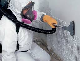 Best Mold Damage Restoration  in La Mesilla, NM